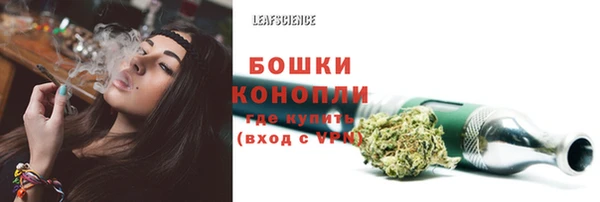 mdpv Козловка
