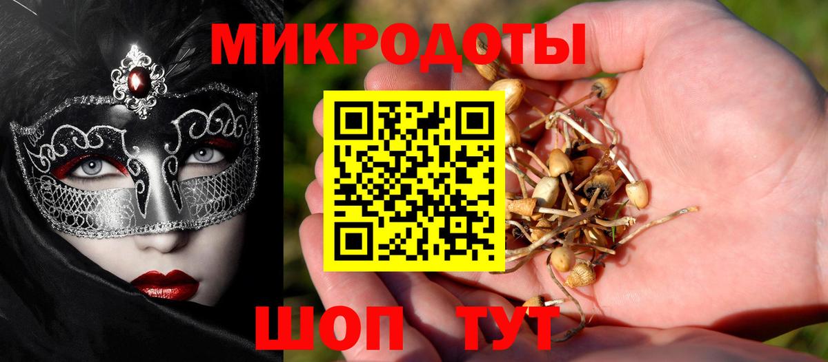 Конаково  Псилоцибиновые грибы Psilocybine cubensis  Вход с VPN 